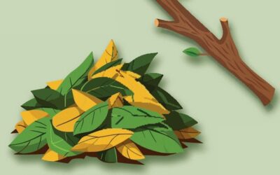 Collecte des déchets verts